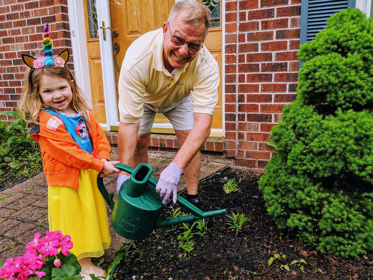 Grandfather and Granddaughter watering evergreen shrubs - fall planting