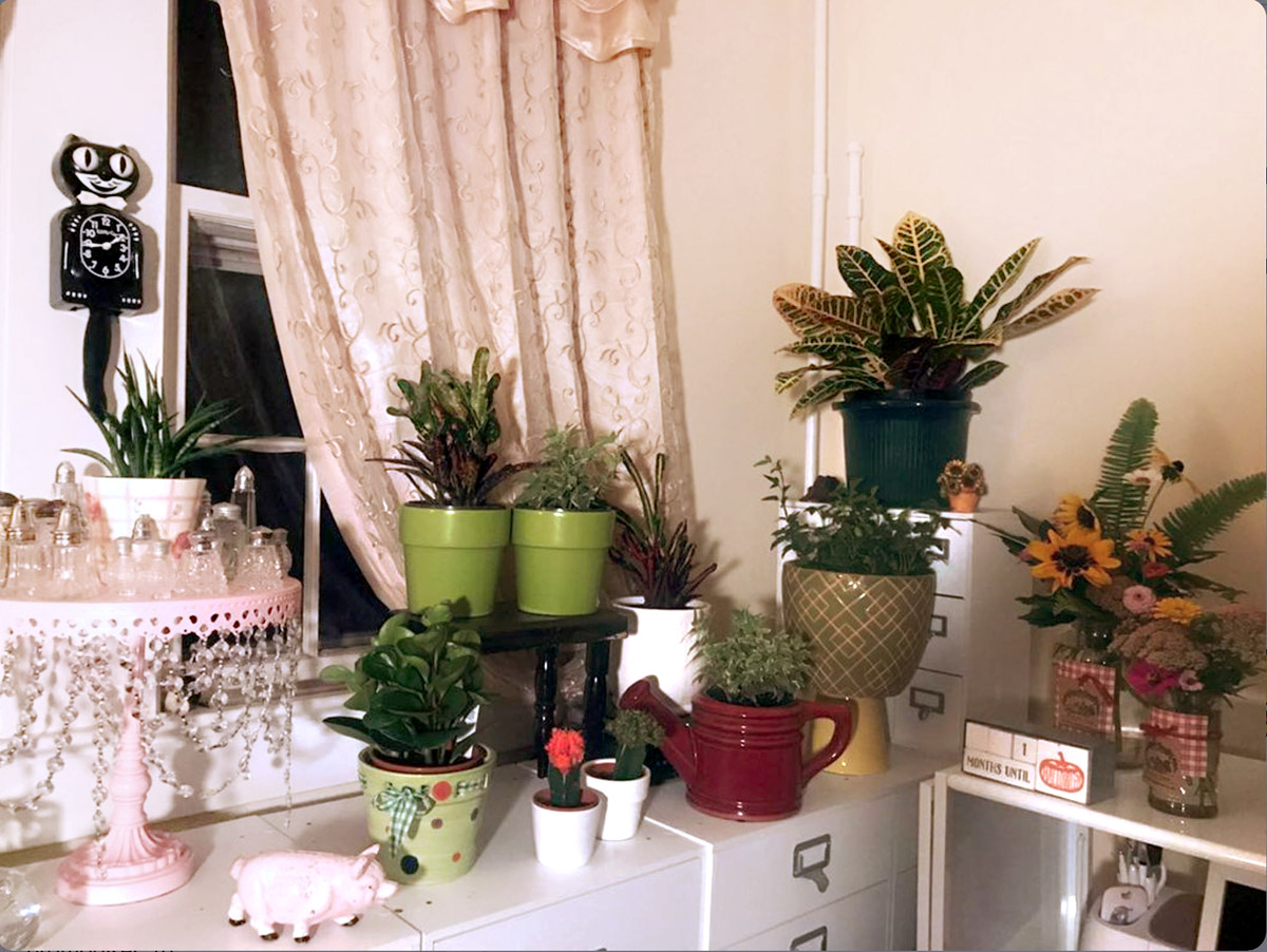 Indoor Plant Display in Home Office Craft Room by @Noodles_Farm on Instagram