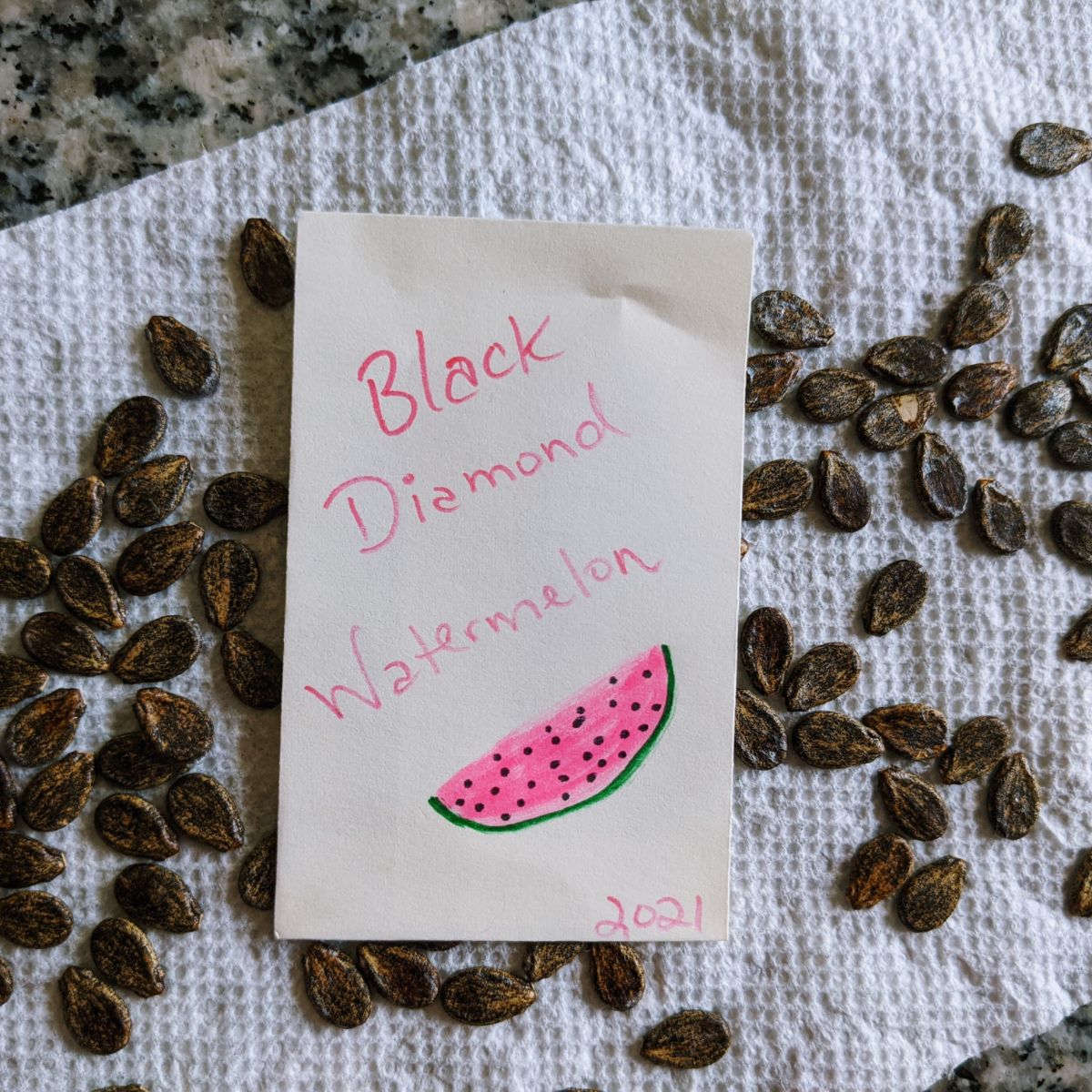 Black Diamond Watermelon Seeds