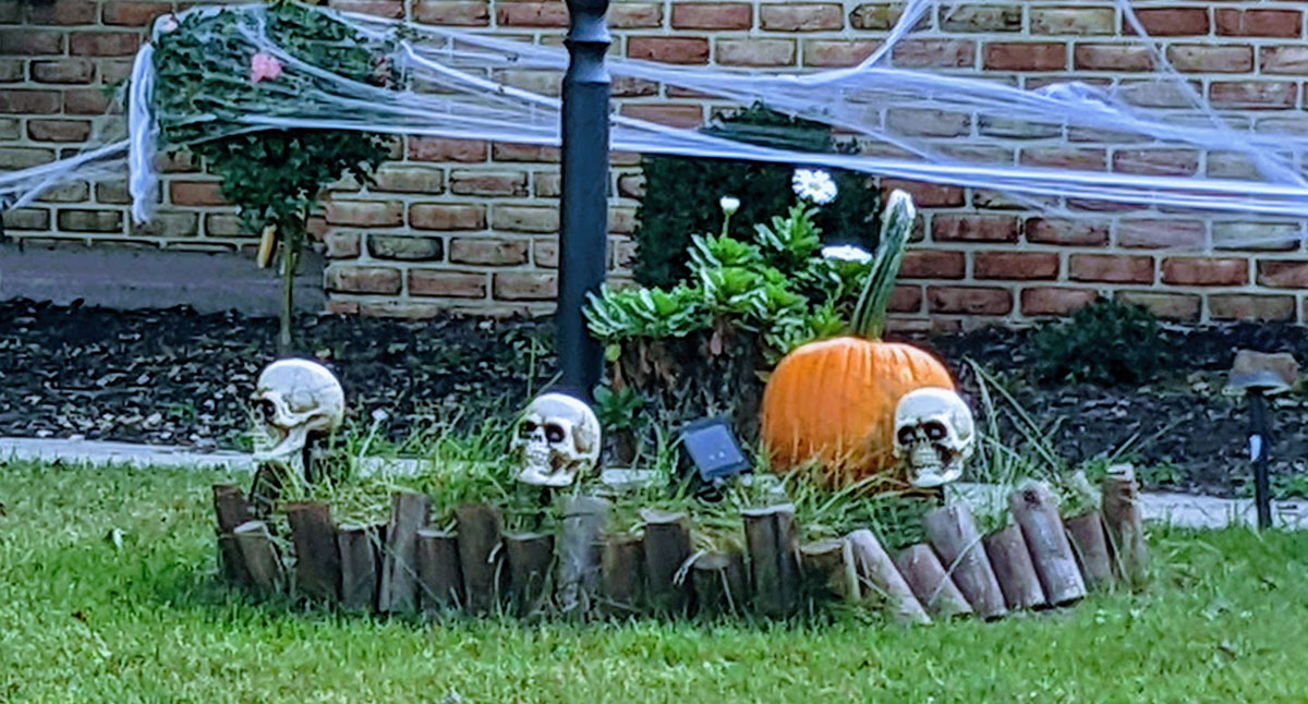 Creepy Haunted Garden with Skulls and a Pumpkin