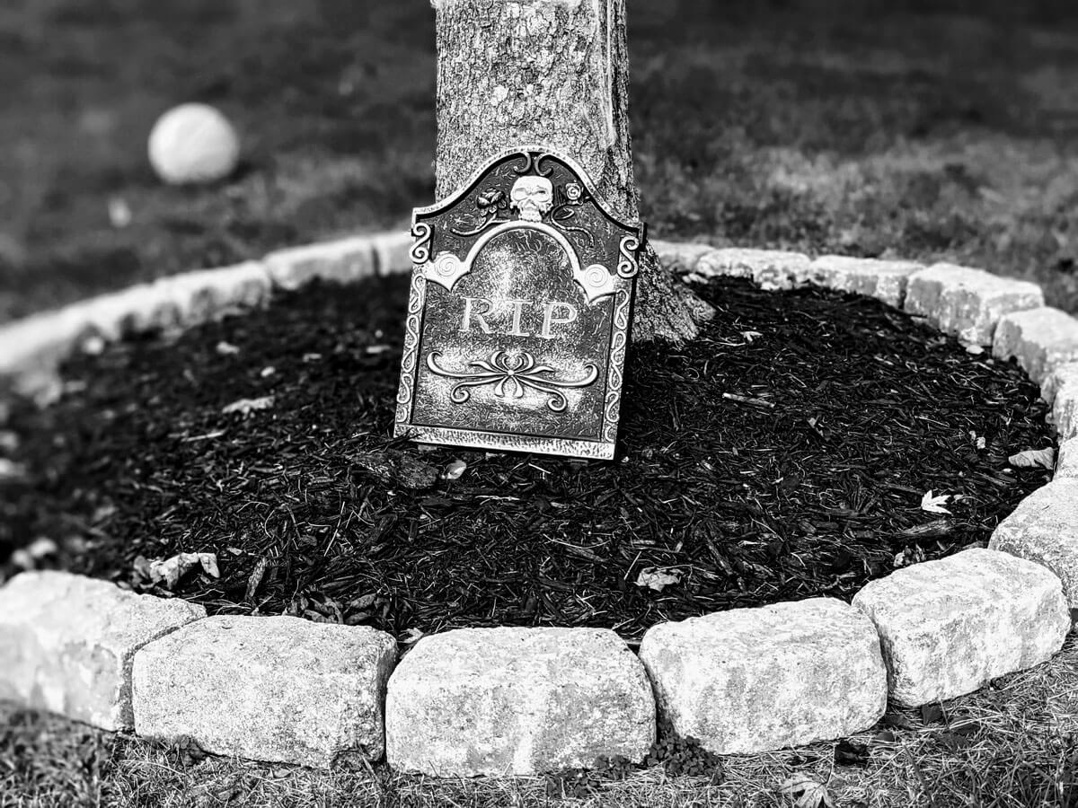 Haunted Garden around a Tree with a tombstone, mulch and stones