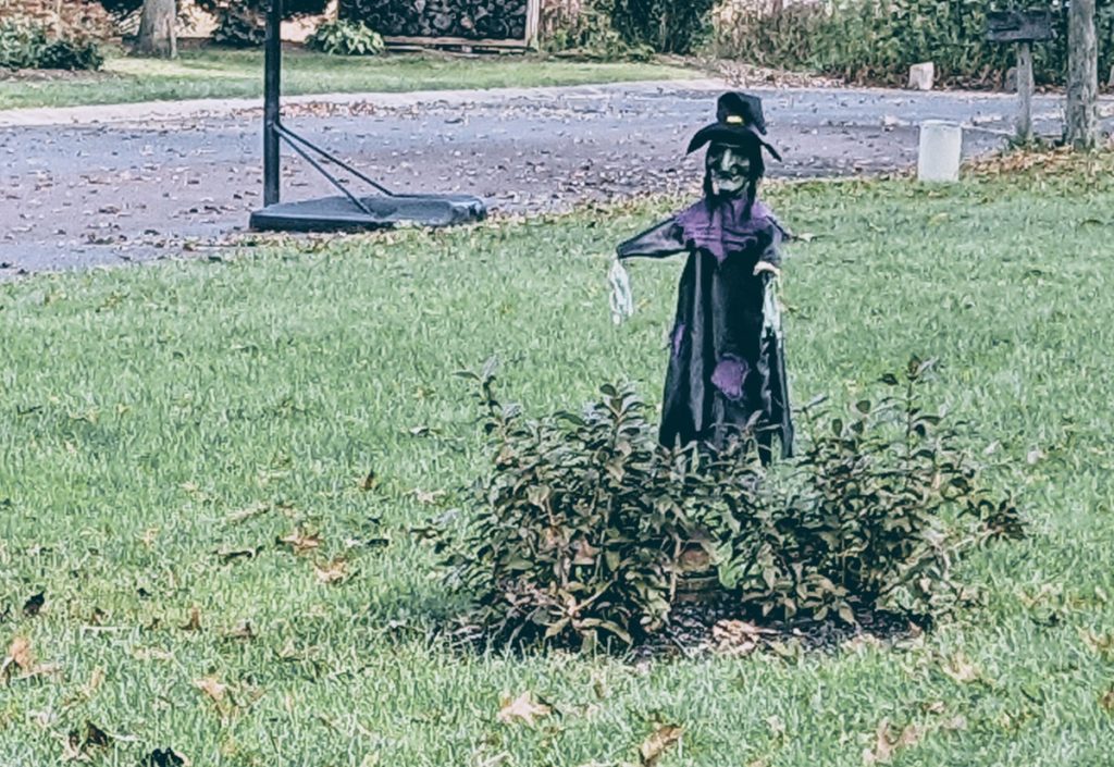 Witch Rising out of the Creepy Garden