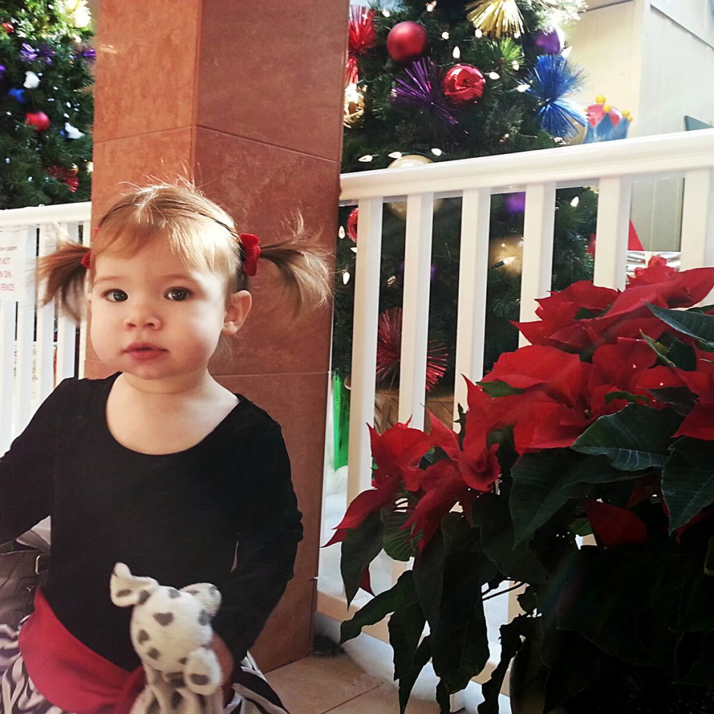 Little girl standing by some Poinsettias before seeing Santa at the mall!