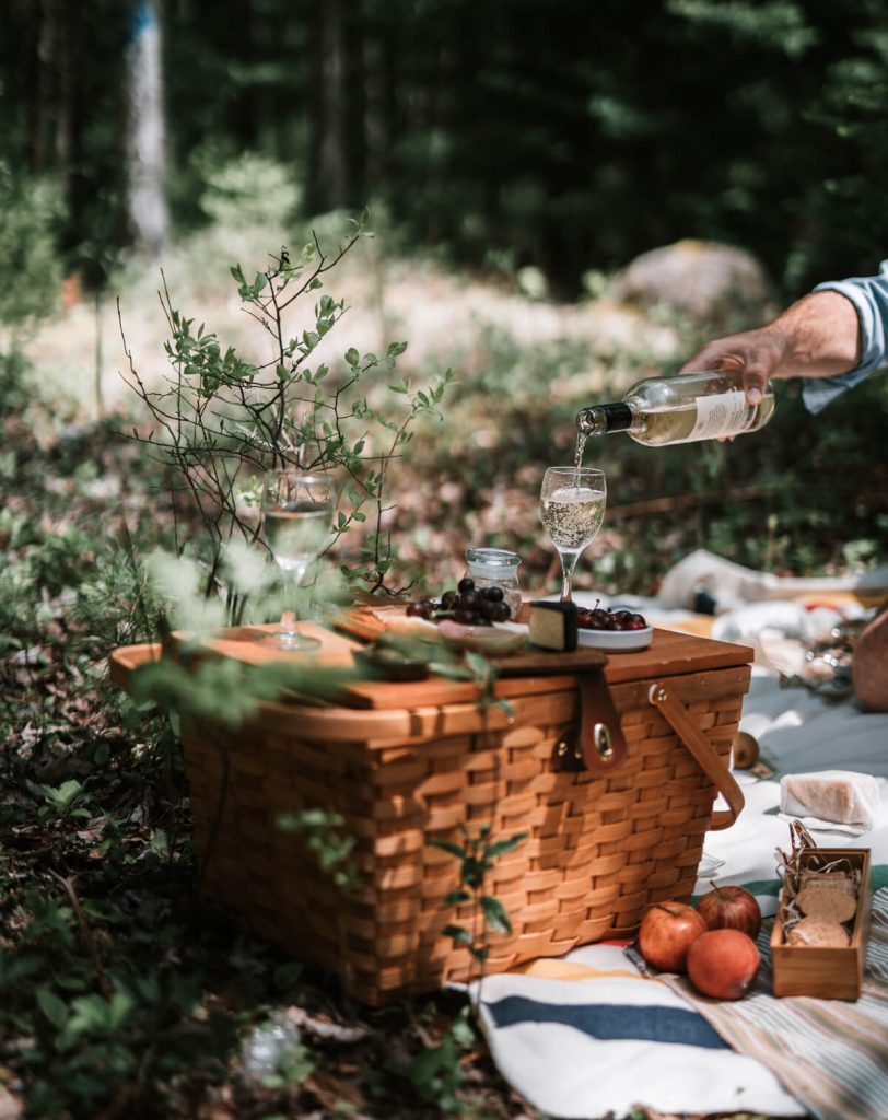 Wine Picnic in the Garden with a nice picnic basket and fruit - Photo by Taryn Elliott from Pexels