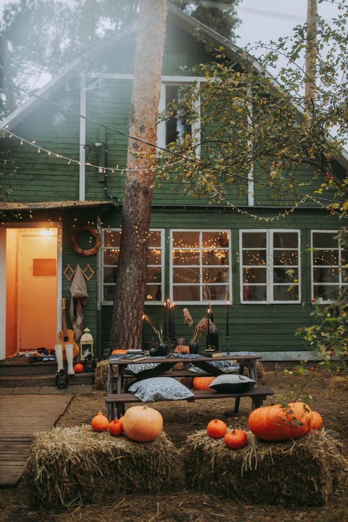 Outdoor Halloween Garden Party Social Event with Pumpkins and Decor - Photo by Yaroslav Shuraev from Pexels