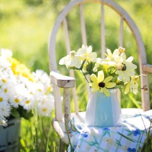 Hosting a Garden Social – 16 Garden Party Themes & Tips