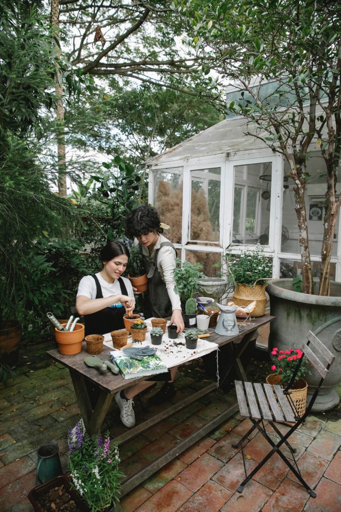 Succulent Potting Party Outdoors for a Garden Social Event - Photo by Gary Barnes from Pexels