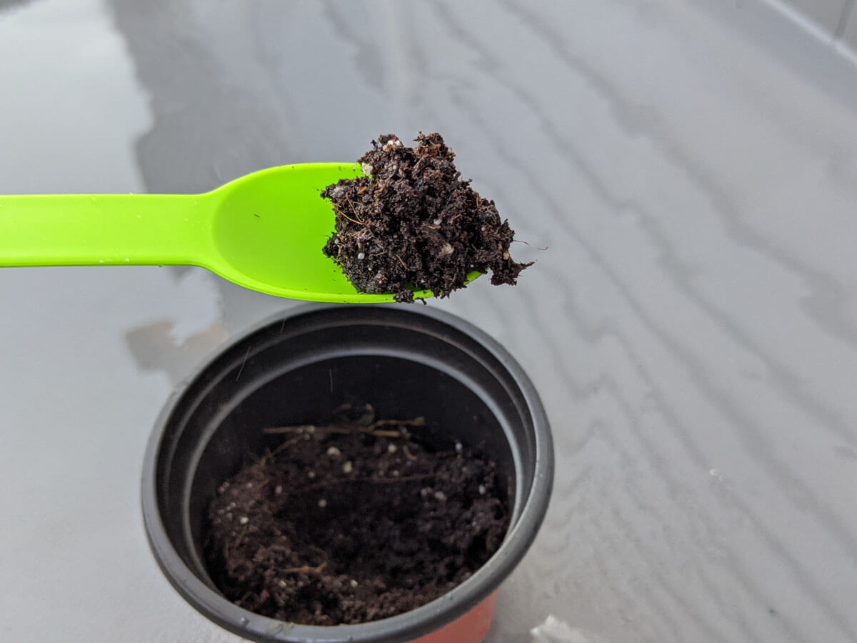 What's in Promix potting soil - peat based potting mix