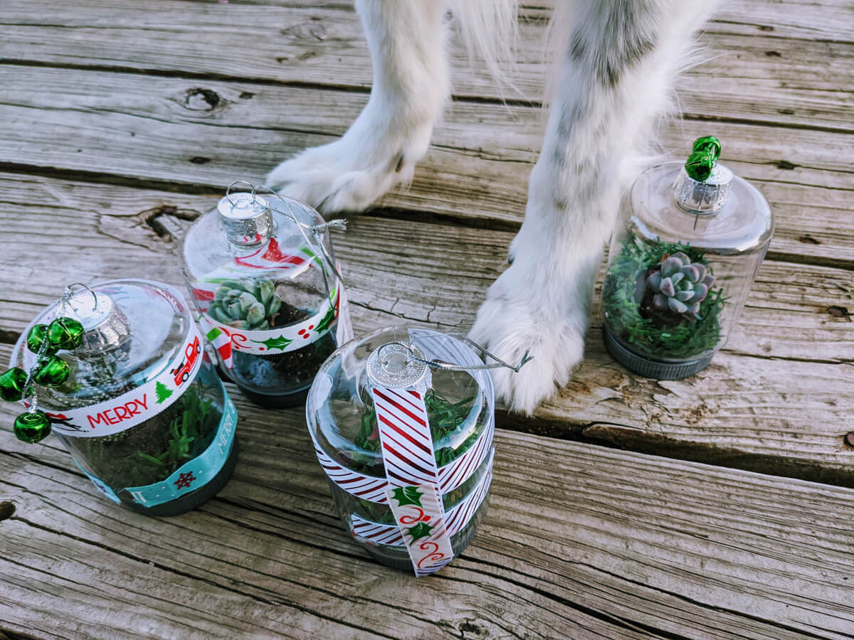 Border Collie Approved Holiday Craft Idea for DIY Terrarium Ornaments