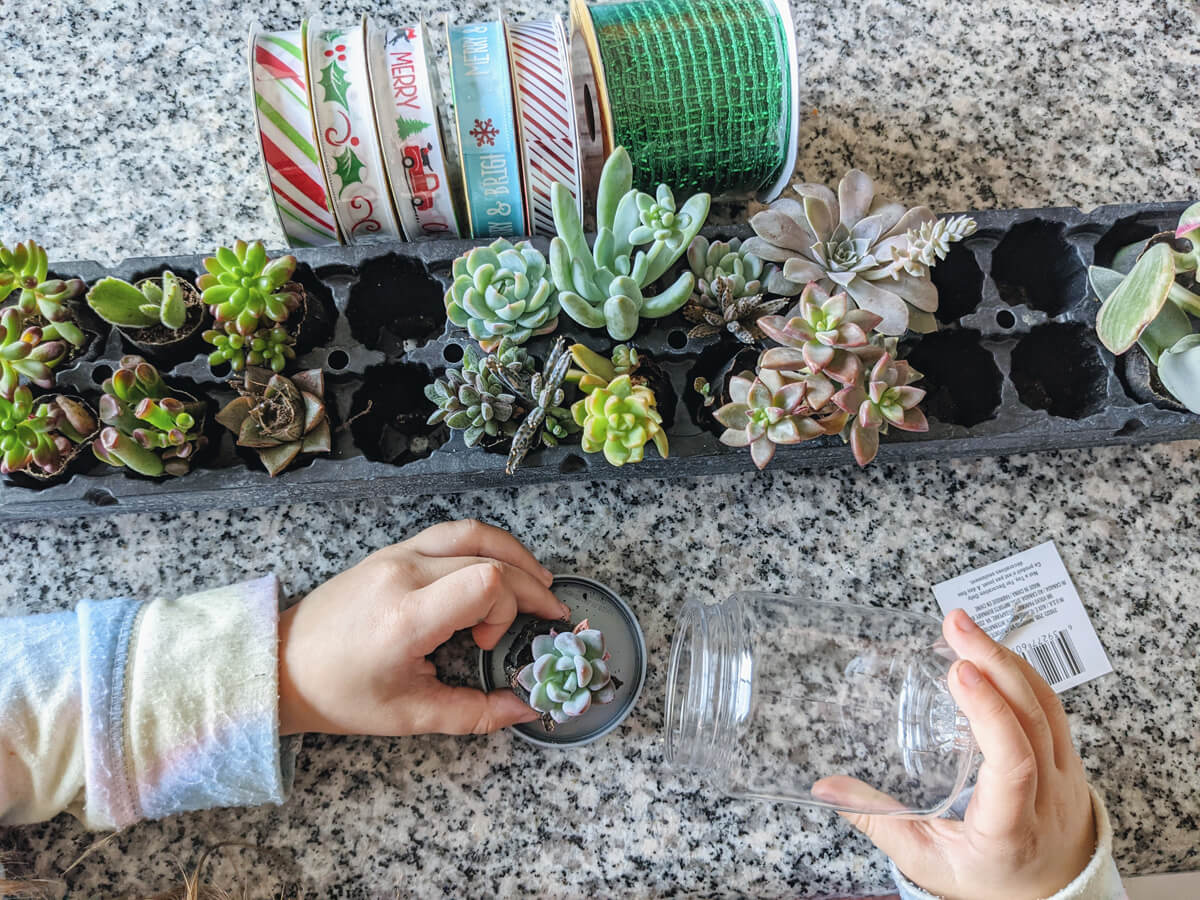 DIY Dollar Tree Terrarium Ornaments with Succulents and Ribbon - Kid Friendly Holiday Craft!