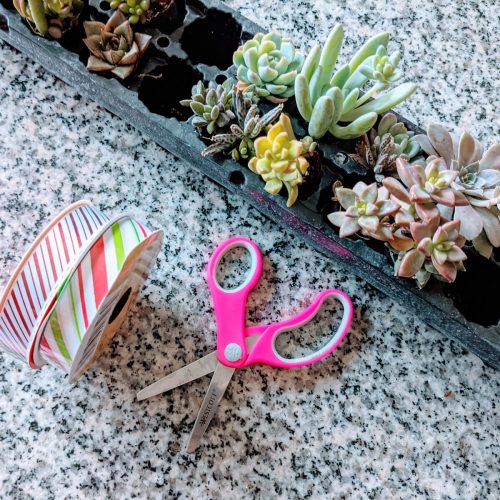 Homemade Succulent Christmas Terrarium Ornament DIY Dollar Tree