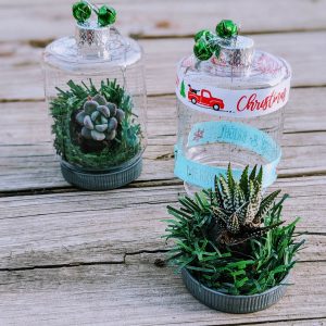 Homemade Succulent Christmas Terrarium Ornament – DIY Dollar Tree Planter