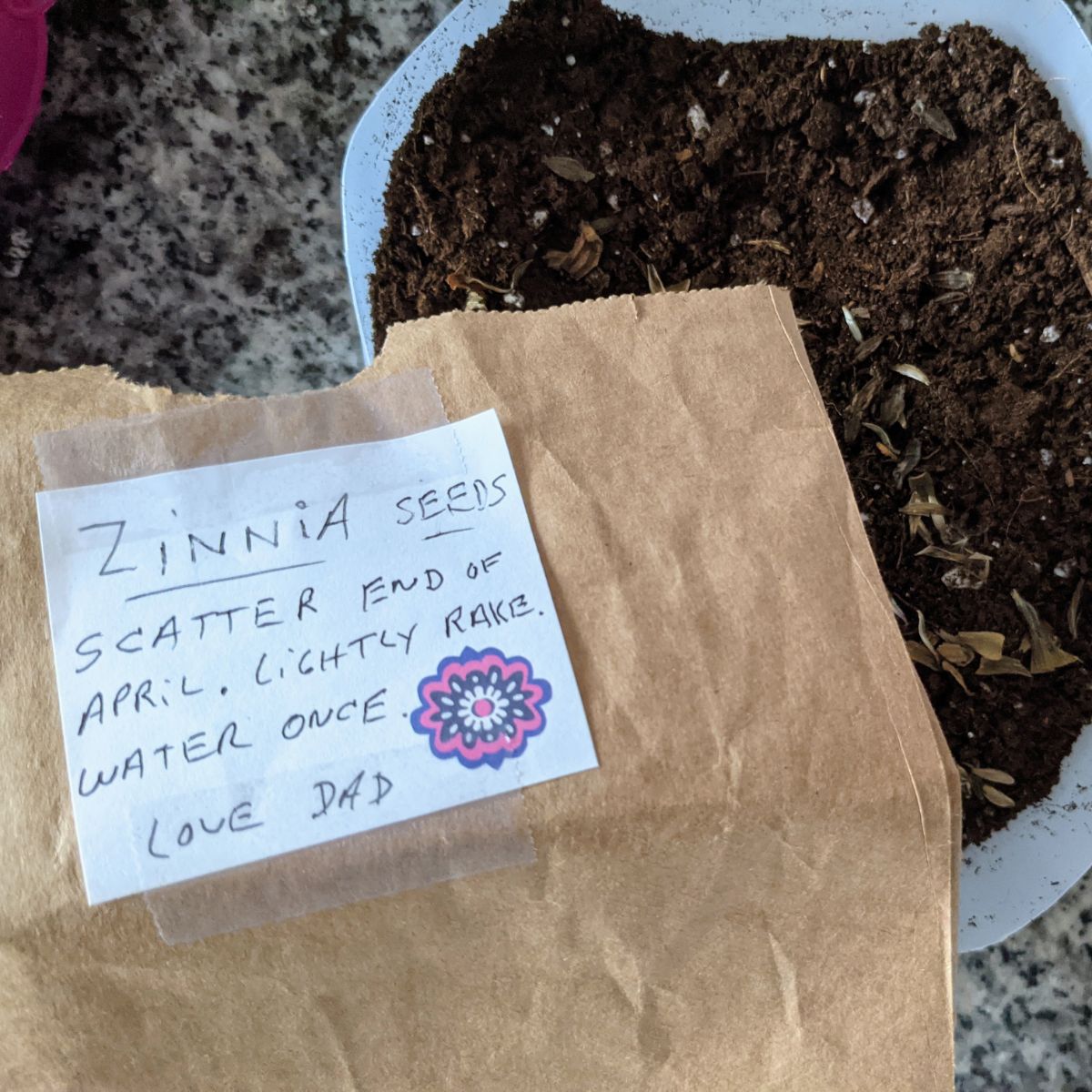 Packet of Dad's zinnia seeds with some fresh soil in a milk jug