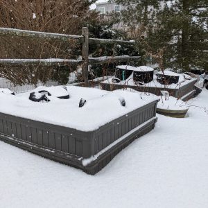 8 Winter Gardening Ideas for the Off-Season