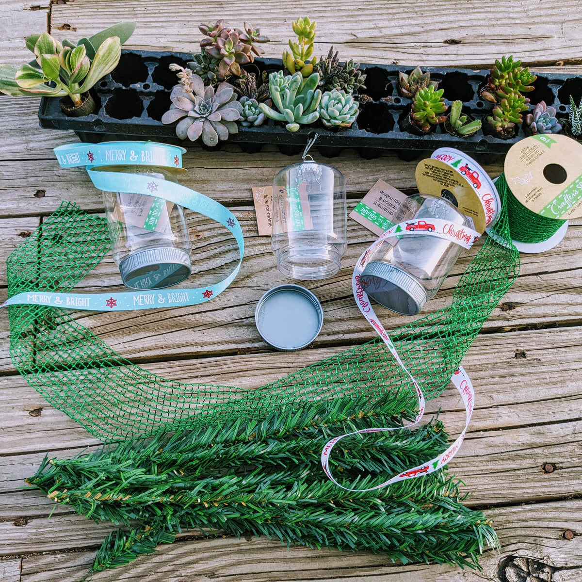 Materials for Homemade Holiday Ornament with Live Plants from Dollar Tree and Glick's Greenhouse