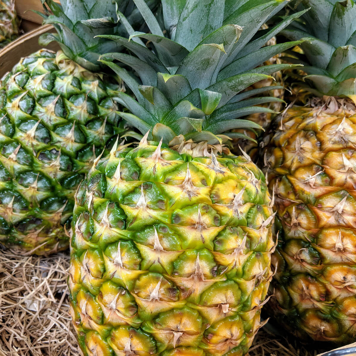 Fresh Pineapple Colors - How to tell if a pineapple is ripe