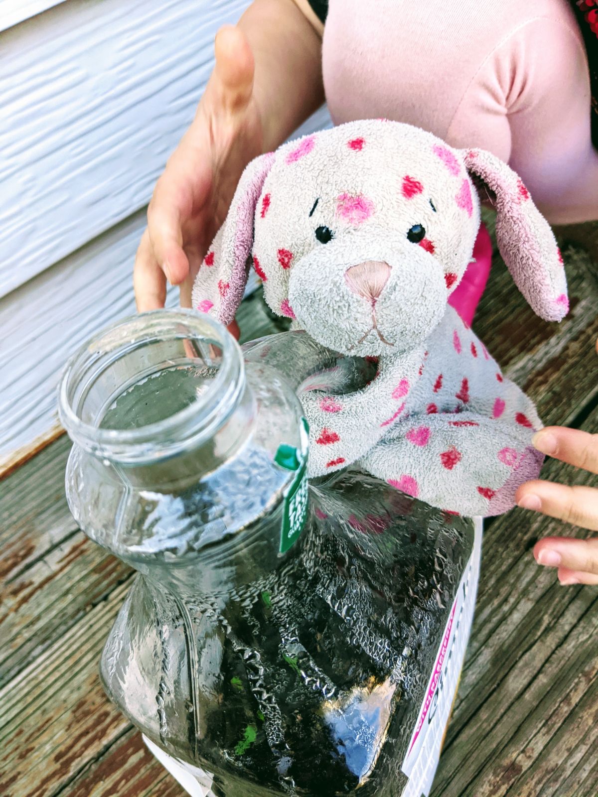 Puppy stuffed animal with a winter jug of seeds