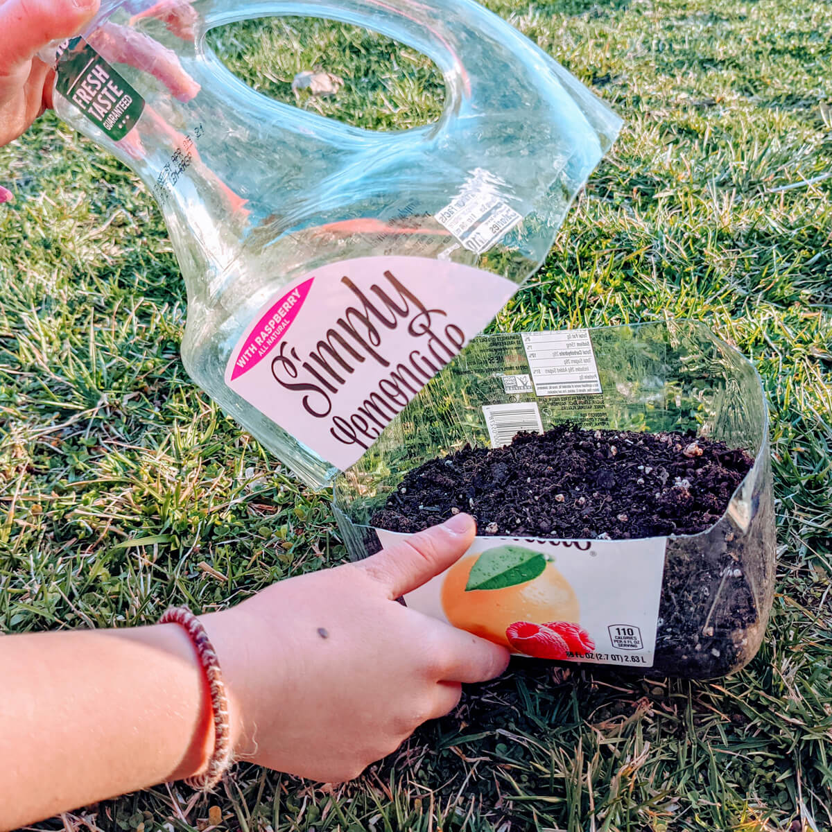 Winter Sowing Method using a plastic juice bottle cut open with potting soil, child helping