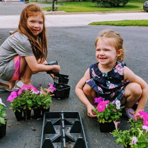 National Plant a Flower Day – Fun Ways to Celebrate