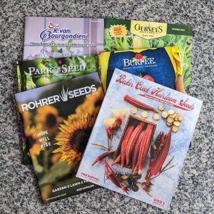 Best Free Seed Catalogs (Plus Bulbs and Plants!)