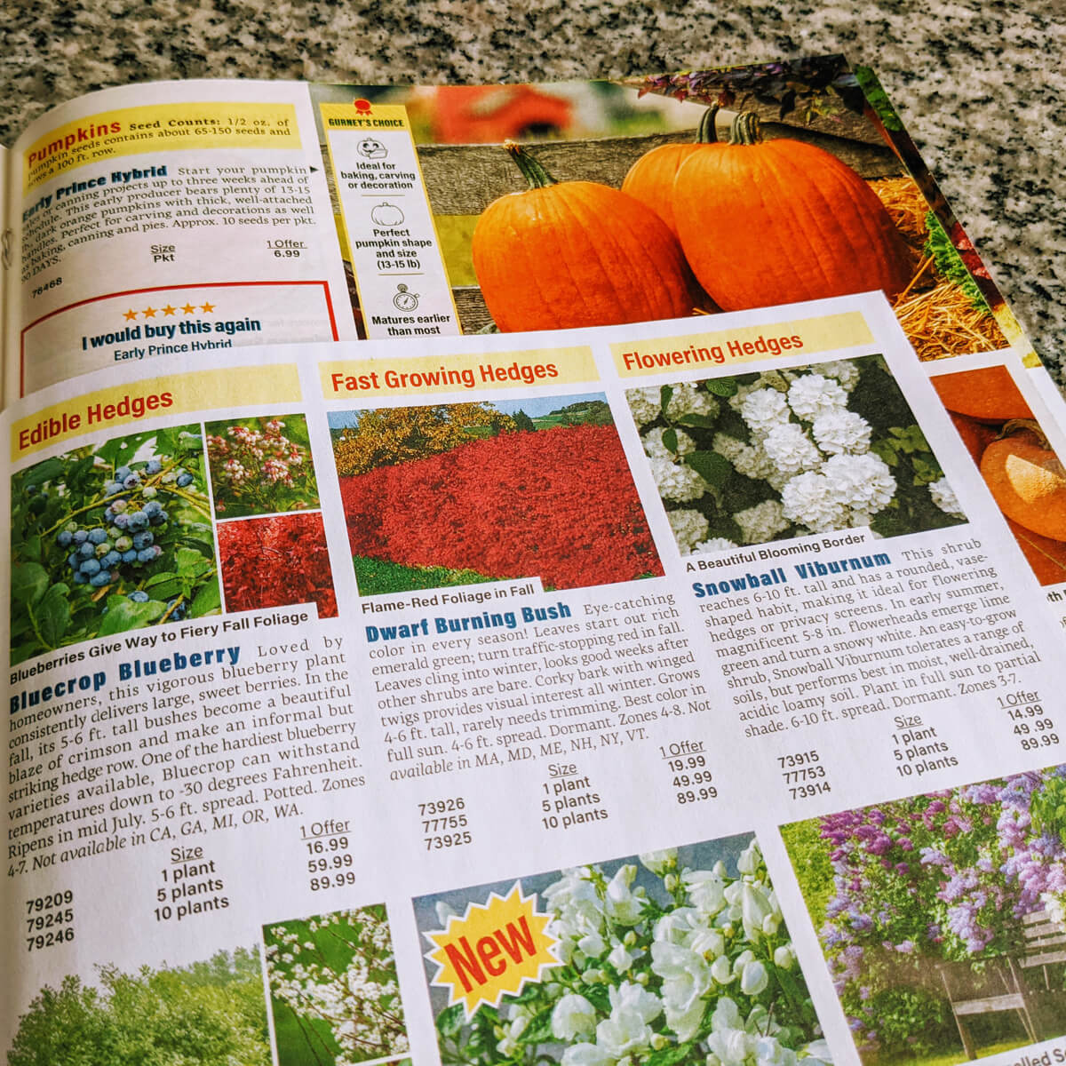 Free Gurney's Seed and Plant Catalog