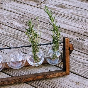 How to Propagate Rosemary From Cuttings in Water or Soil