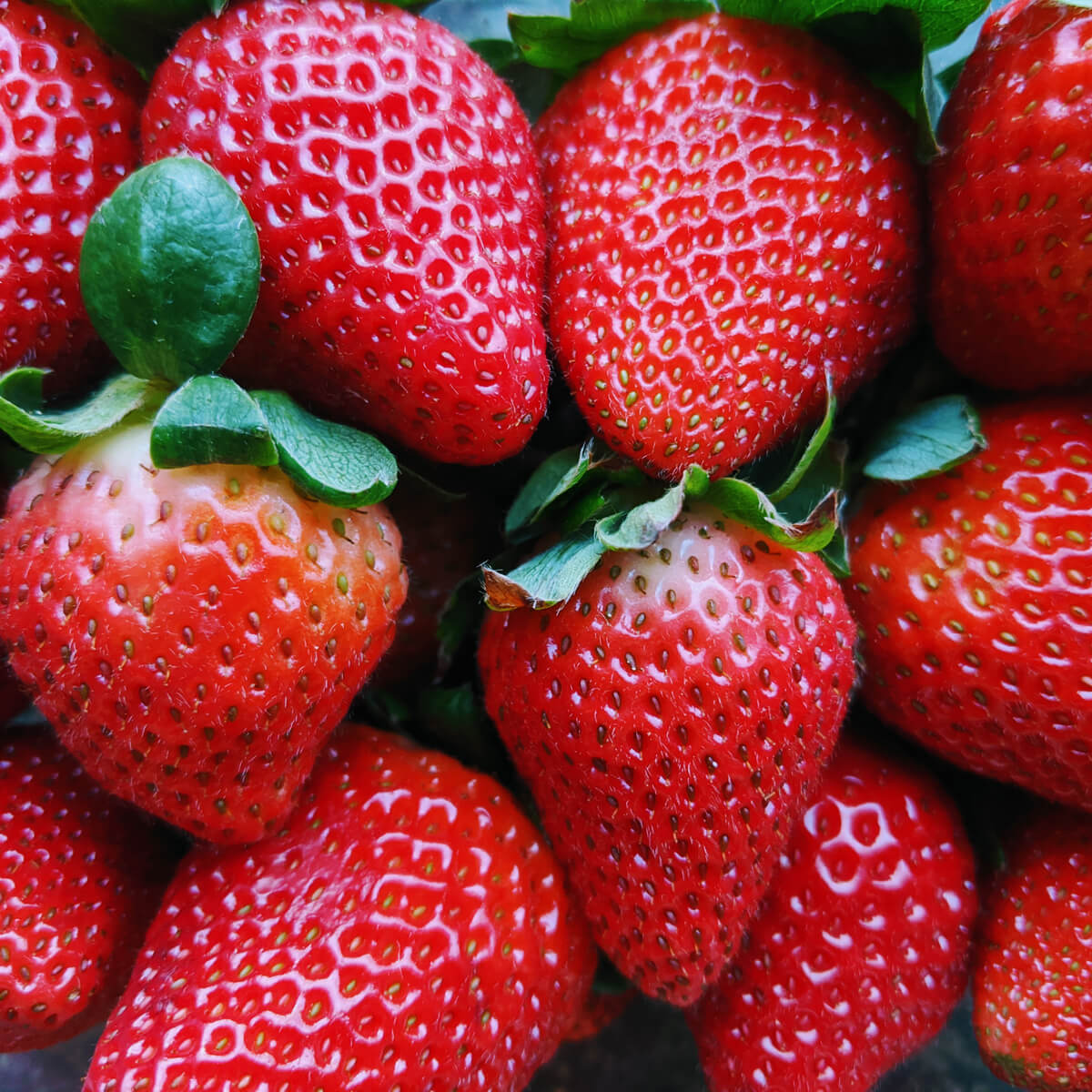 Bright Red, Juicy Strawberries for National Strawberry Day