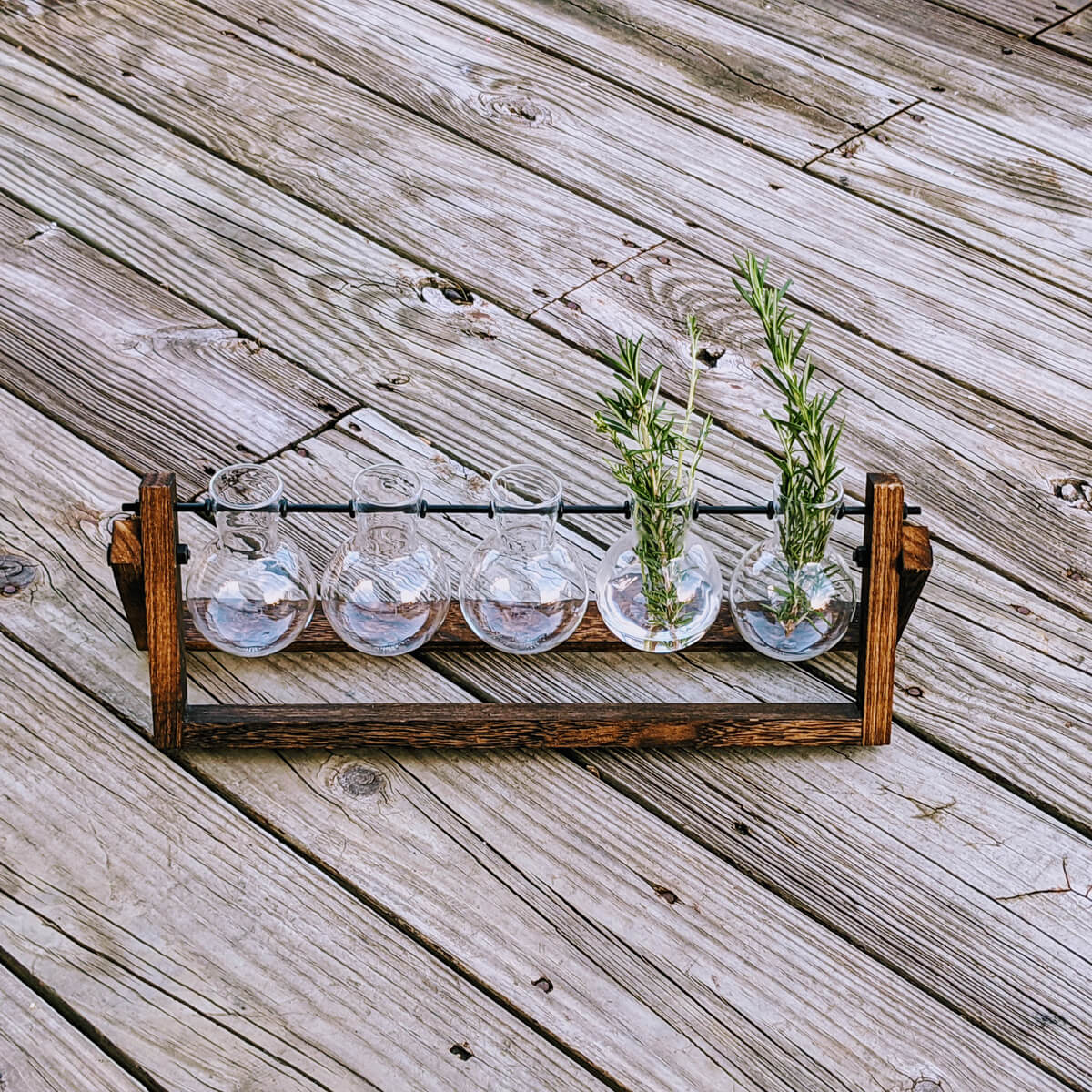 Propagation Station with Fresh Rosemary