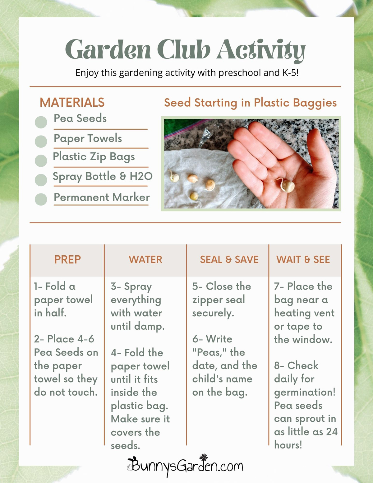 Free Gardening Printable - Garden Club Lesson Plan on Starting Seeds in Bags