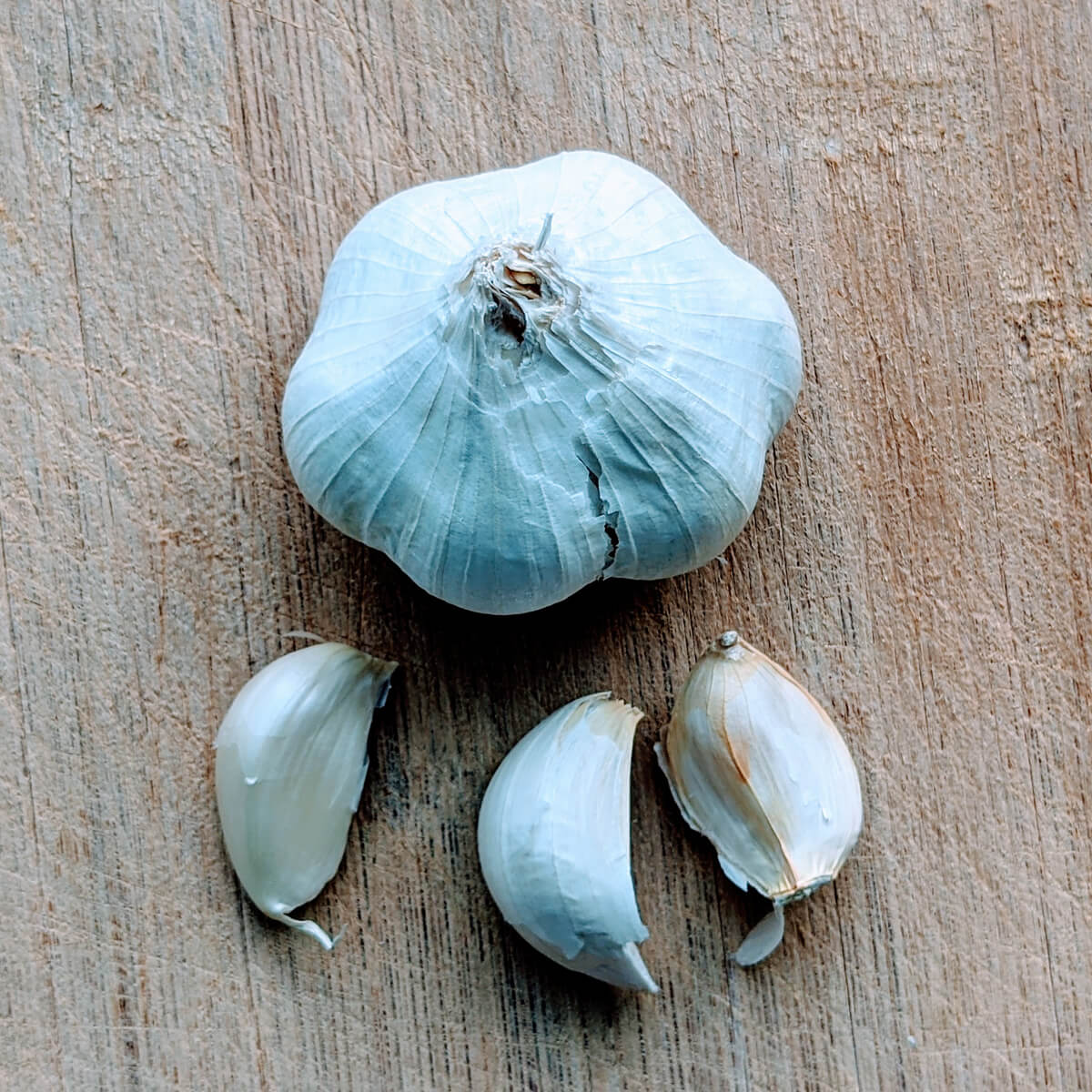 Garlic Bulb and Cloves on a Bamboo Cutting Board