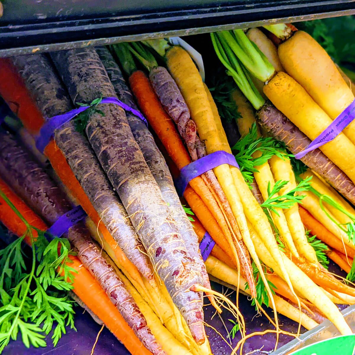 Bunches of Rainbow Carrots at the Grocery Store - Purple, White and Orange