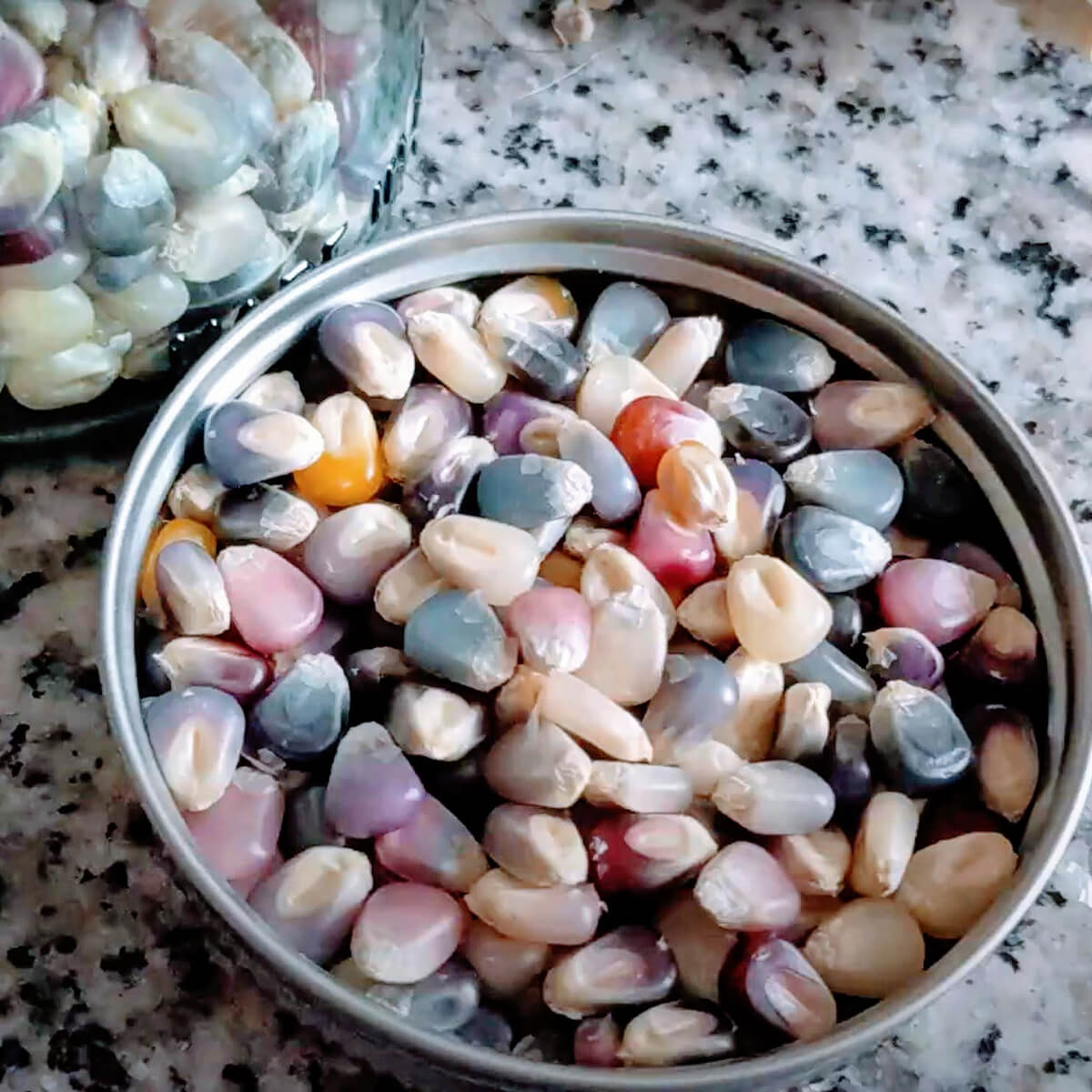 Beautiful Popcorn Glass Gem Corn Seeds in a Mason Jar Lid on a Granite Table