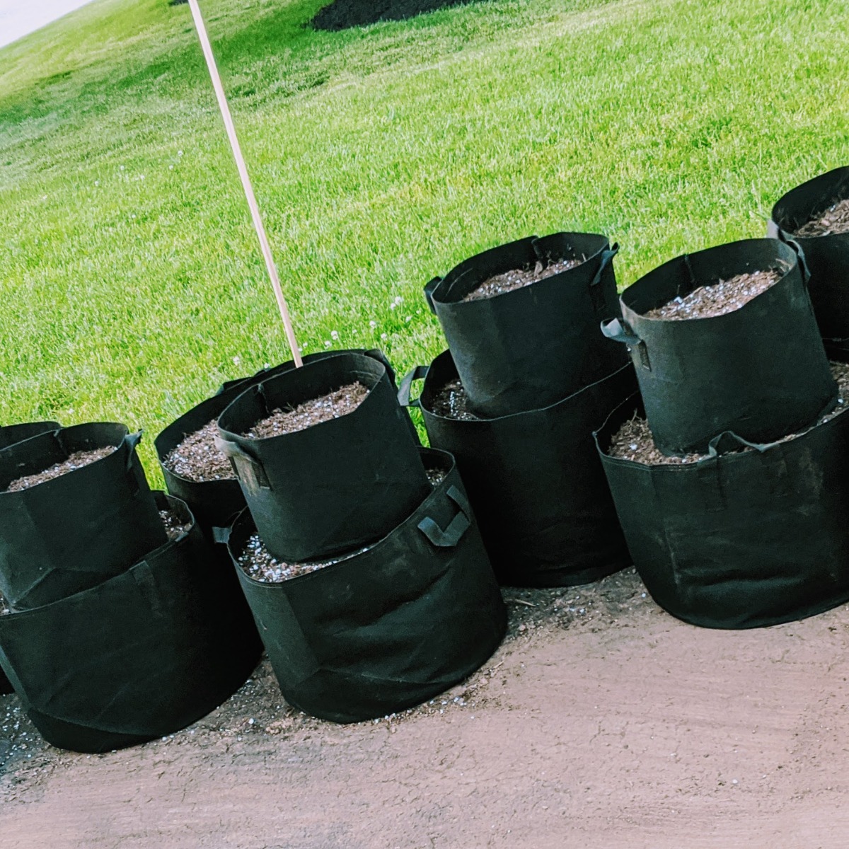 Black fabric grow pots for our 2020 garden