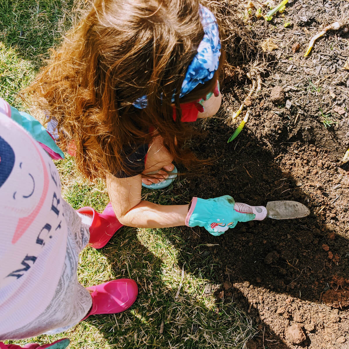 Fill in the hole when replanting daffodils