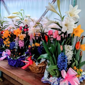 Easter Flowers: Pretty Flowers Associated with Easter