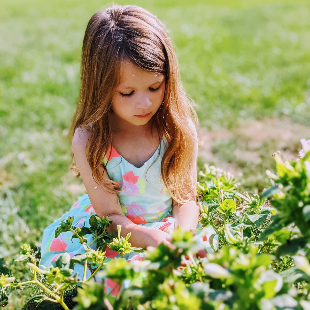 Seed Saving makes a great gardening club curriculum. Here's my youngest looking for seeds among our flowers in 2021. 