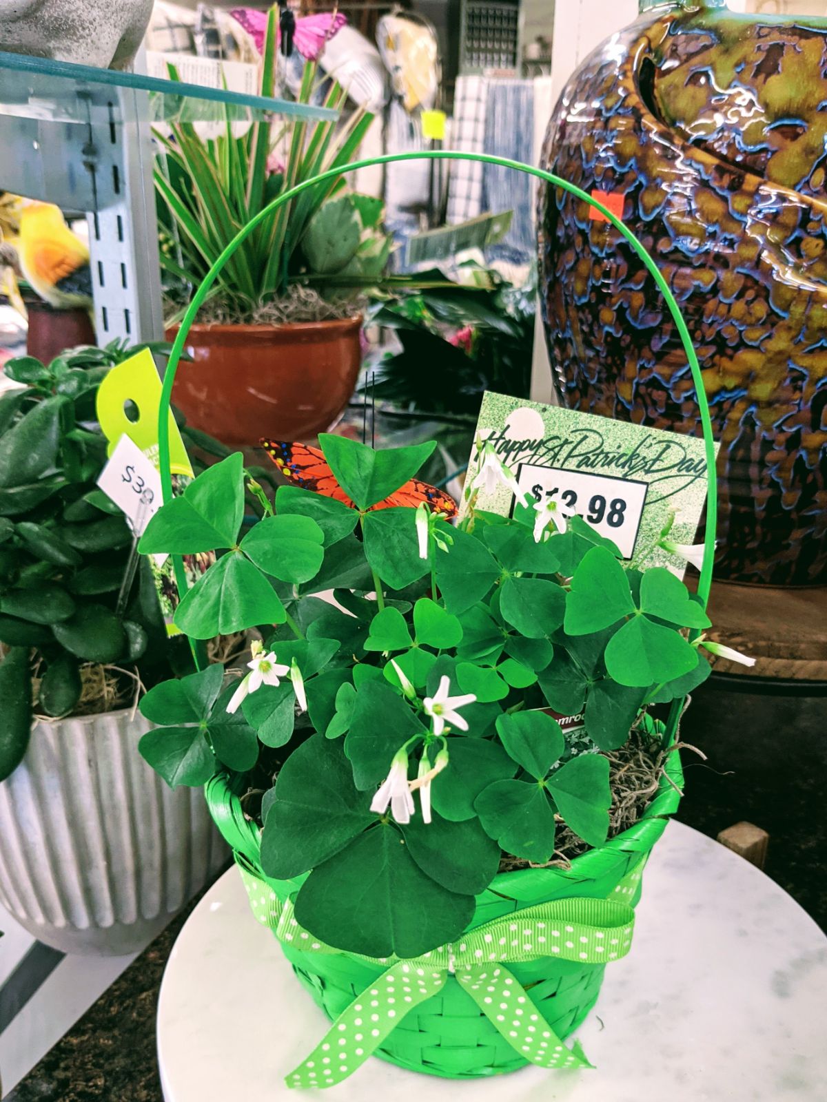 An Irish flower basket with shamrocks for St. Patrick's Day at Wendy's Flowers in Gilbertsville