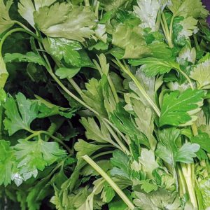 Parsley Companion Plants – What to Grow with Parsley