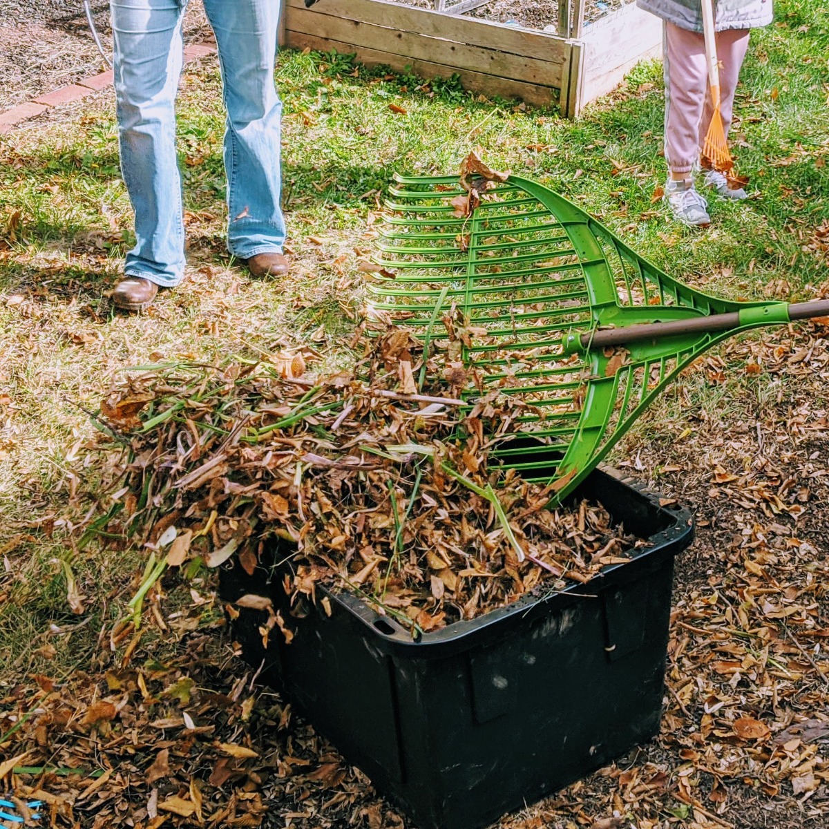 Raking Leaves into a Bin at a Fall Garden Club Gathering