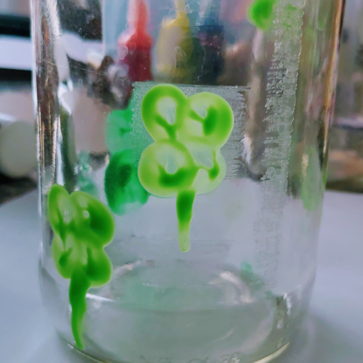 Shamrock Project 4 Leaf Clover Jar Vase