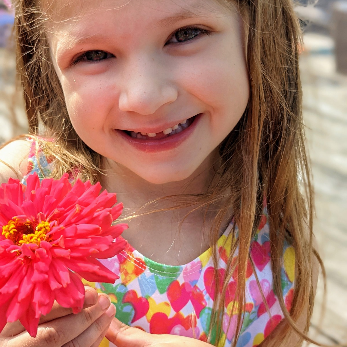 Zinnias as Cut Flowers - Daughter with Hot Pink Cactus Zinnia