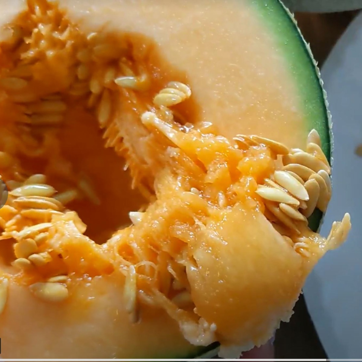 Cantaloupe Seeds spilling out of a cut cantaloupe