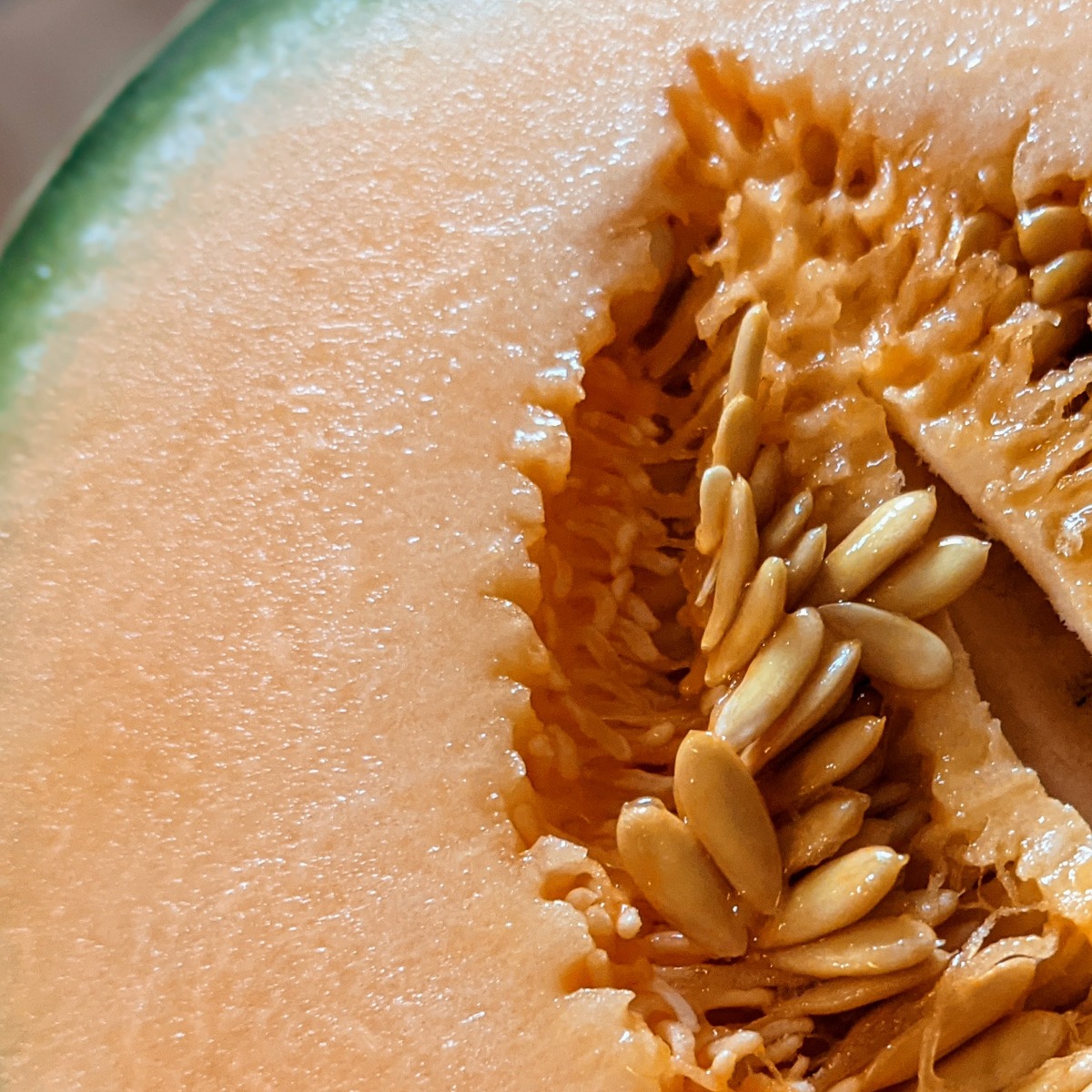 Lots of cantaloupe seeds in a fresh-cut cantaloupe melon