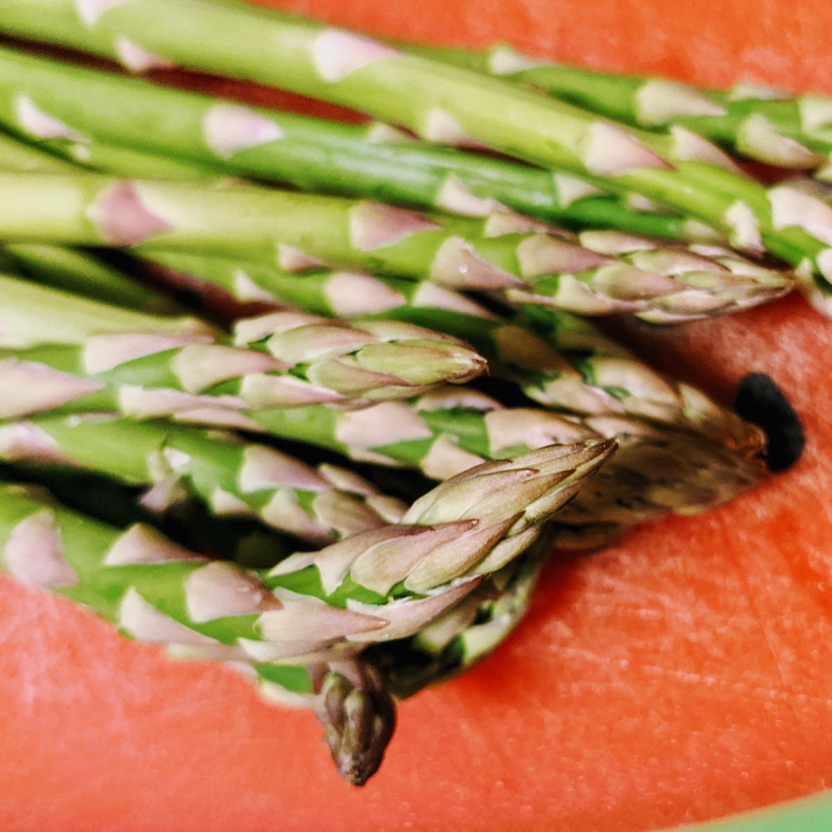 Fresh asparagus on a red plastic cutting board - Asparagus Companion Plants help you make the most of your garden space. 