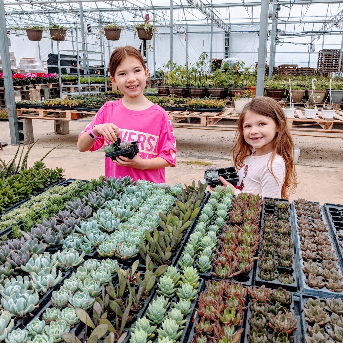 Sisters choosing succulents at Glick's Succulent Potting Party