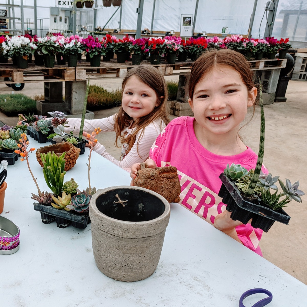 Sisters potting up succulents at Glick's Greenhouse