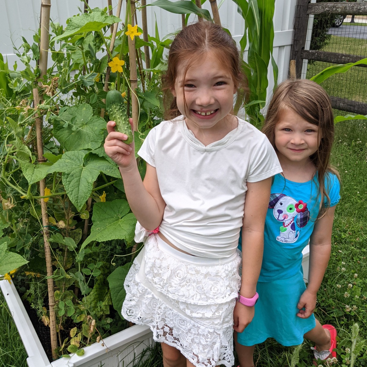 Sisters showing off pickling cucumbers in garden planted with lettuce, popcorn, and snow peas