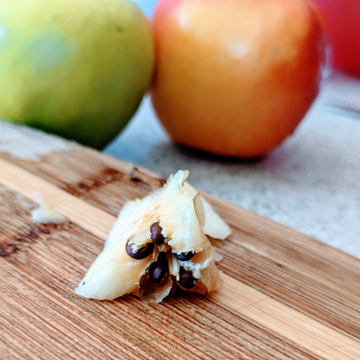 Growing Apple Seeds from Store Bought Apples