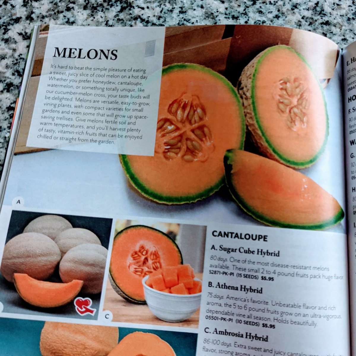 Catalogue page for cantaloupe seeds for planting