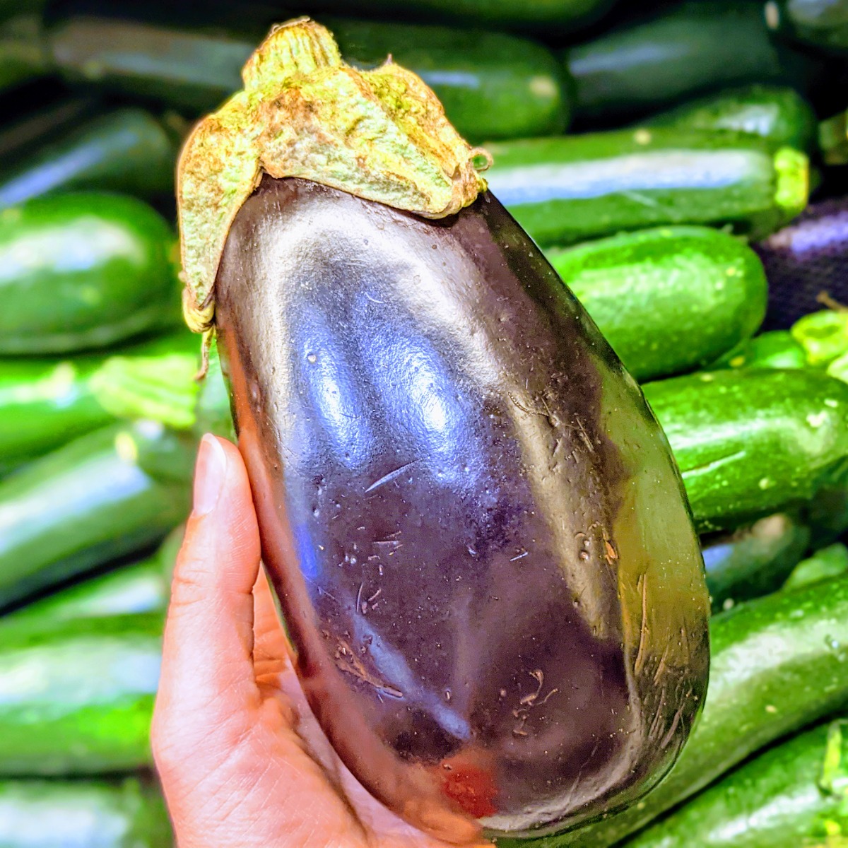 Holding Eggplant in front of Zucchini